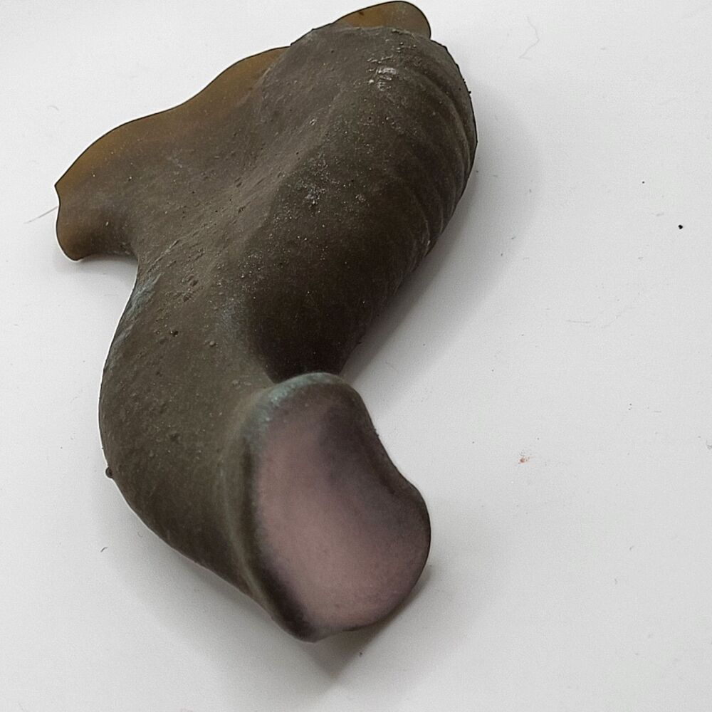 Elephant Nose Latex Prosthetic